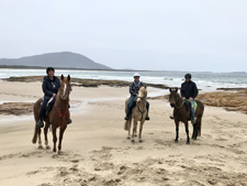 Australia-NSW-Comboyne Plateau and Beach Ride